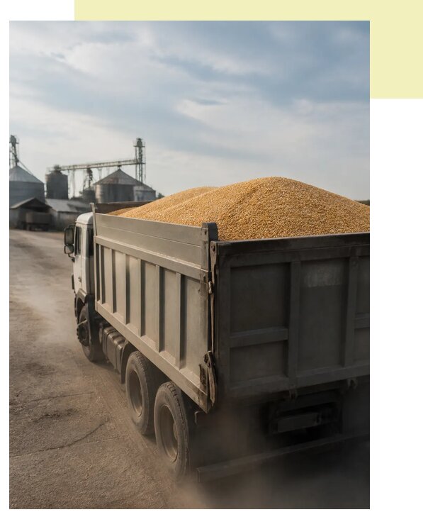Перевозка сельхозпродукции навалом в Минеральных Воду по цене от 3107 р. | Агросервис-Мнр