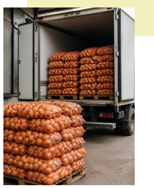 Перевозка лука рефрижератором в Минеральных Воду по цене от 5179 р. | Агросервис-Мнр